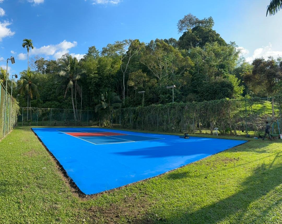Blue pickleball court surrounded by trees